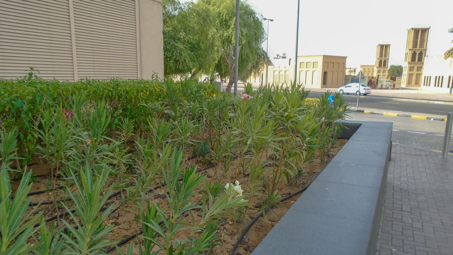 Project image 1