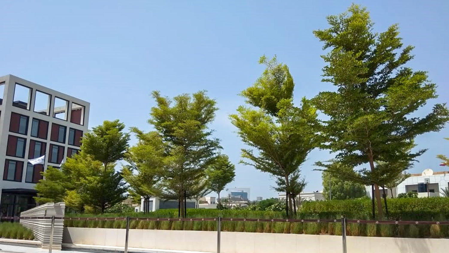 Project image 1