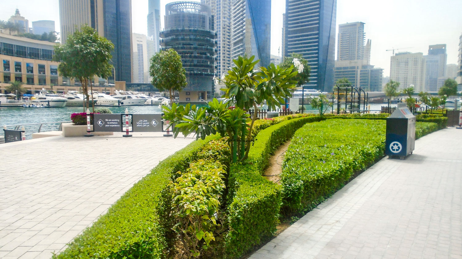 Dubai Marina public-realm planting