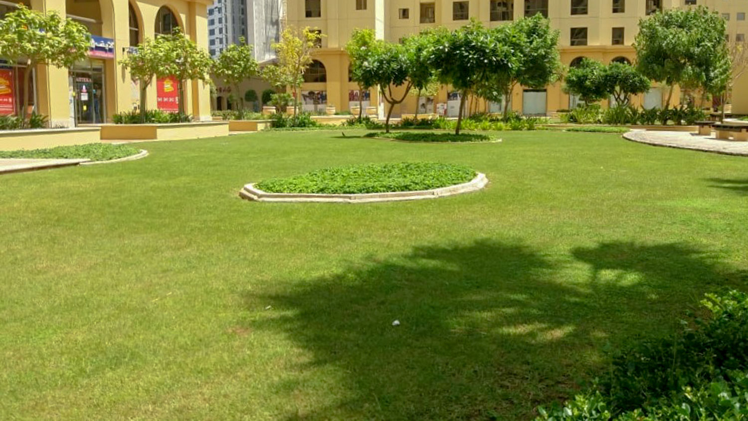 Project image 4