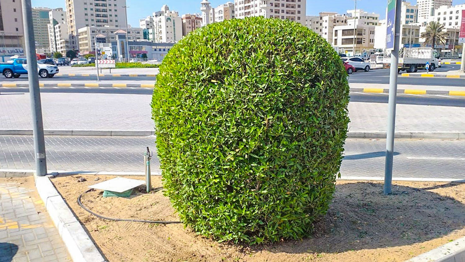 Project image 1