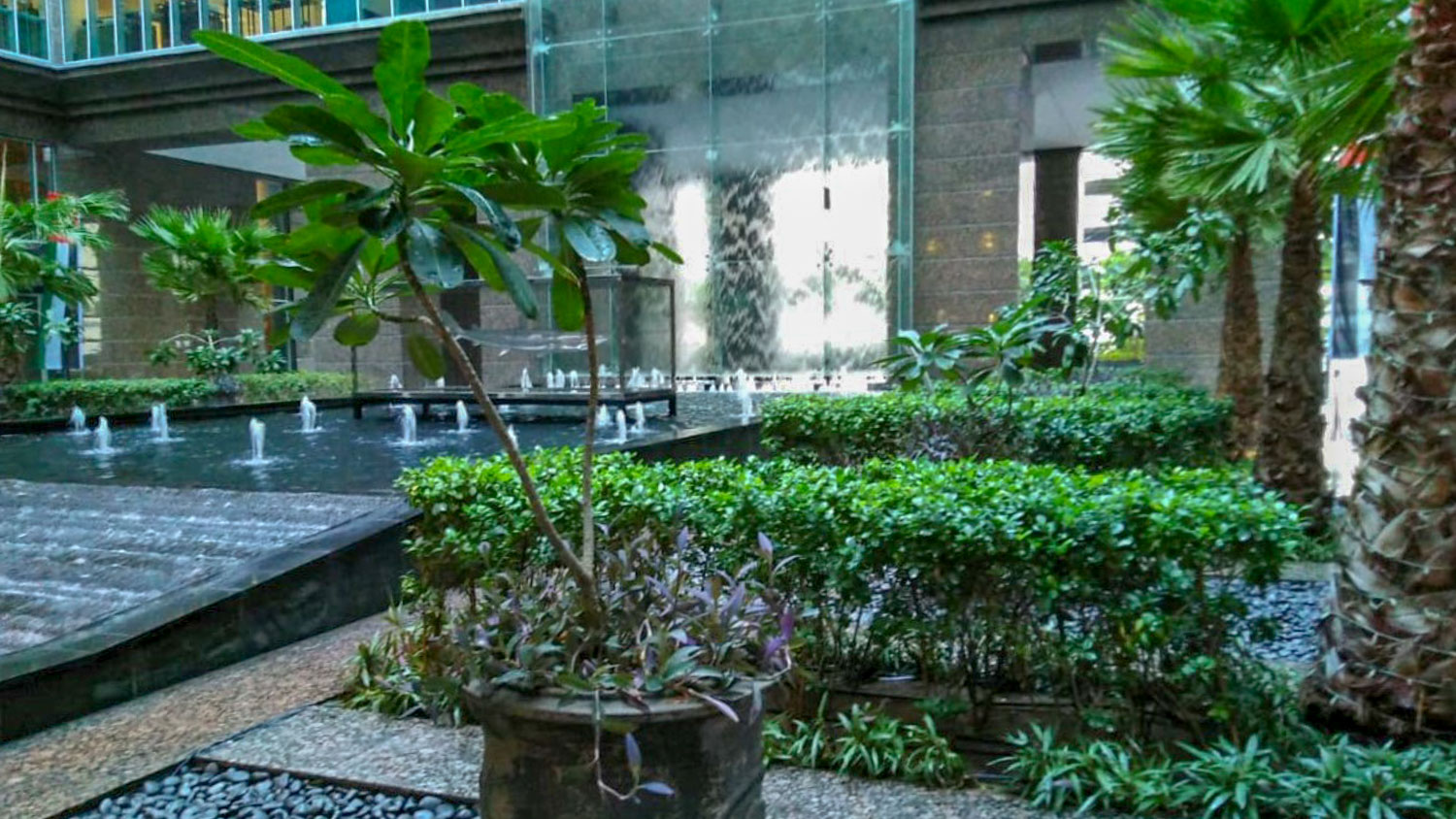 5-star UAE hospitality brand