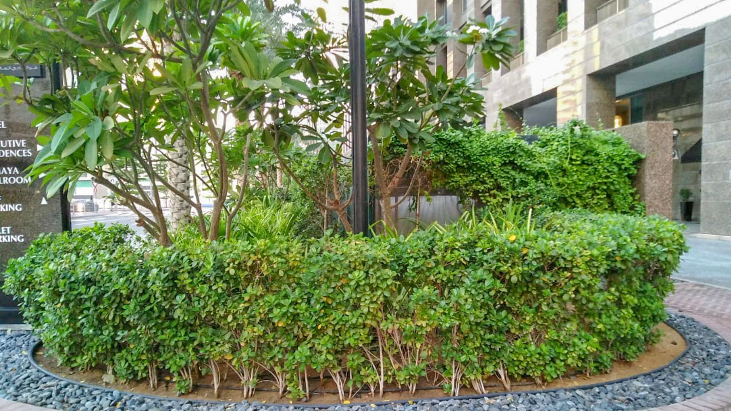 Project image 1