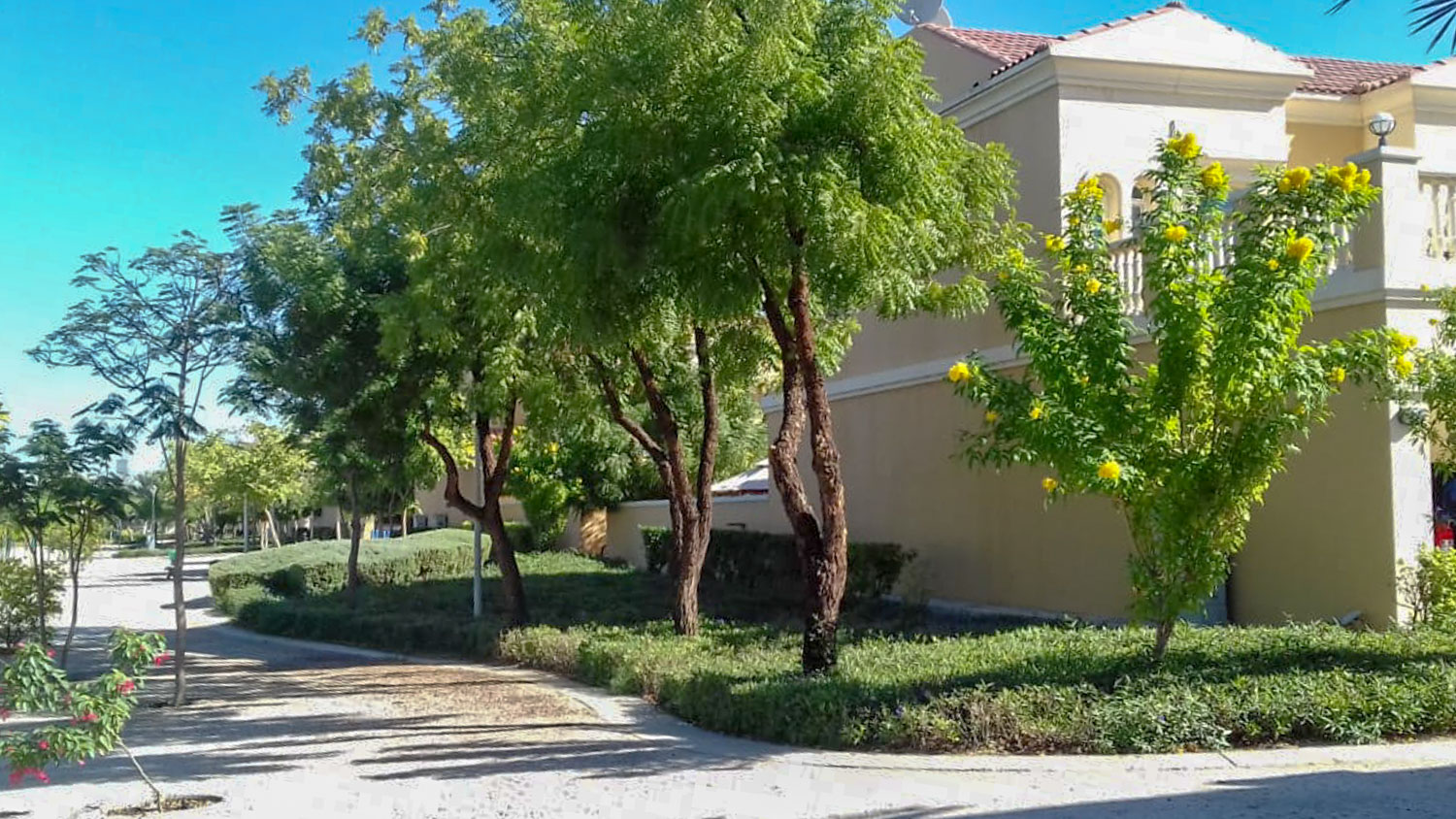 Jumeirah Village Triangle