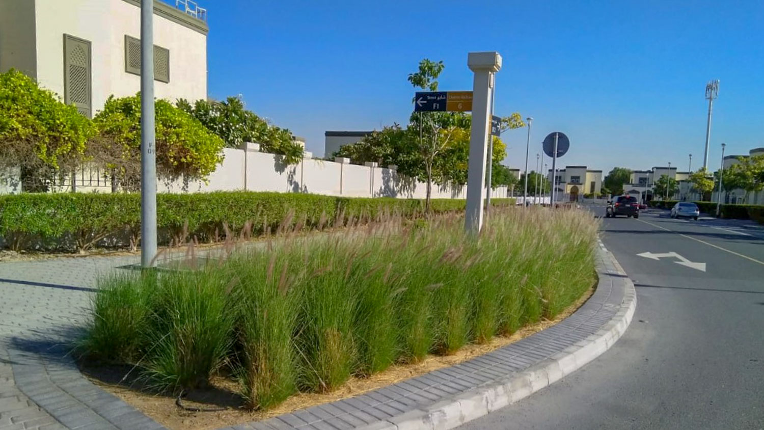 Irrigation — master-community irrigation network