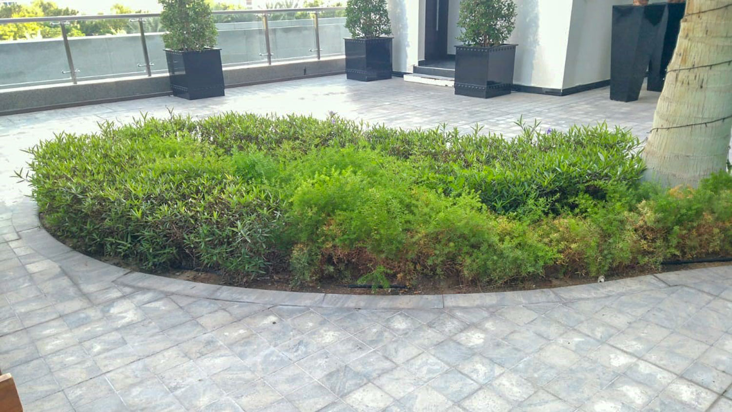 Project image 3