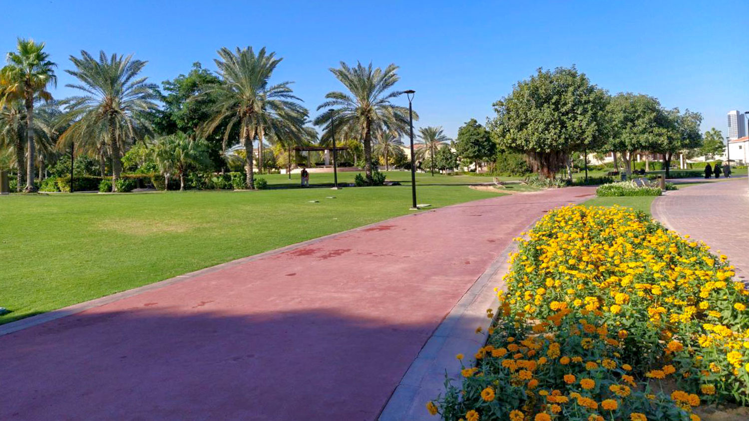 Water features — Al Barsha Pond Park lakefront